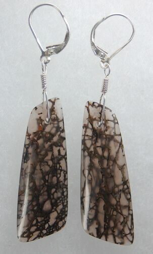 Black Spiderweb Dinosaur Bone Earrings #5253